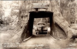 RPPC Redwood Highway Chandelier Tree Old Car Underwood Park CA Postcard Y12 - £7.92 GBP