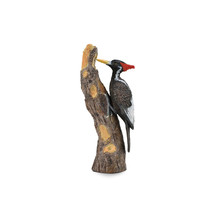 CollectA Ivory-Billed Woodpecker Figure (Large) - $555.76 MXN