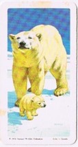 Brooke Bond Red Rose Tea Card #24 Polar Bear Animals &amp; Their Young - $0.98