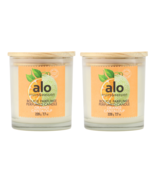 Fruits &amp; Passion Alo Orange Cantaloup Plant Based Wax Candle 7.7 Oz - 2 ... - £27.88 GBP
