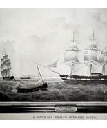 The Castor South Sea Whaler Ship 1926 Nautical Antique Print Whale Hunti... - $35.02 CAD