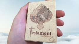 Testament Playing Cards - Out Of Print - £15.47 GBP