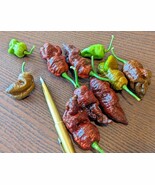 SEED- 7Pot Chocolate Douglah Brown Moruga -Smoky Smooth Fruity but Extre... - €5,03 EUR+