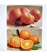 1973 Florida Citrus Council Temples Tangelos Oranges Postcards Set Of 2 - £10.20 GBP