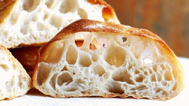 live ZOURDOUGH S0URDOUGH STARTER &quot;San Francisco&quot; BEAST+REClPES d - €6,65 EUR