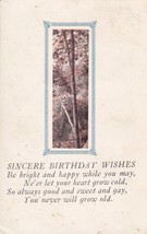 Sincere Birthday Wishes Poem 1927 Defiance MO Marthasville Postcard C49 - $2.99