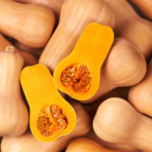 Garden Store 30 Seeds Winter Squash Waltham Butternut Sweet Heirloom Non... - $9.90