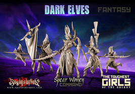 Dark Elves Spearwomen Command Group Raging Heroes Female Warriors 28mm - $60.99