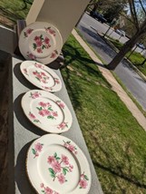 4 Apple Blossom Dinner Plate(s) 9.25&quot; Laughlin Gold trim - $29.99