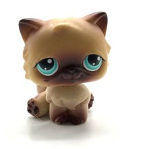 Littlest Pet shop LPS #22 Brown Tan Persian Cat Kitty Green teal aqua Eyes - £7.48 GBP