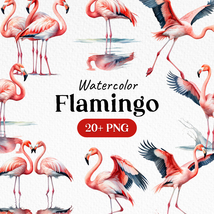 Bundle Watercolor Flamingo Clipart PNG - £2.38 GBP