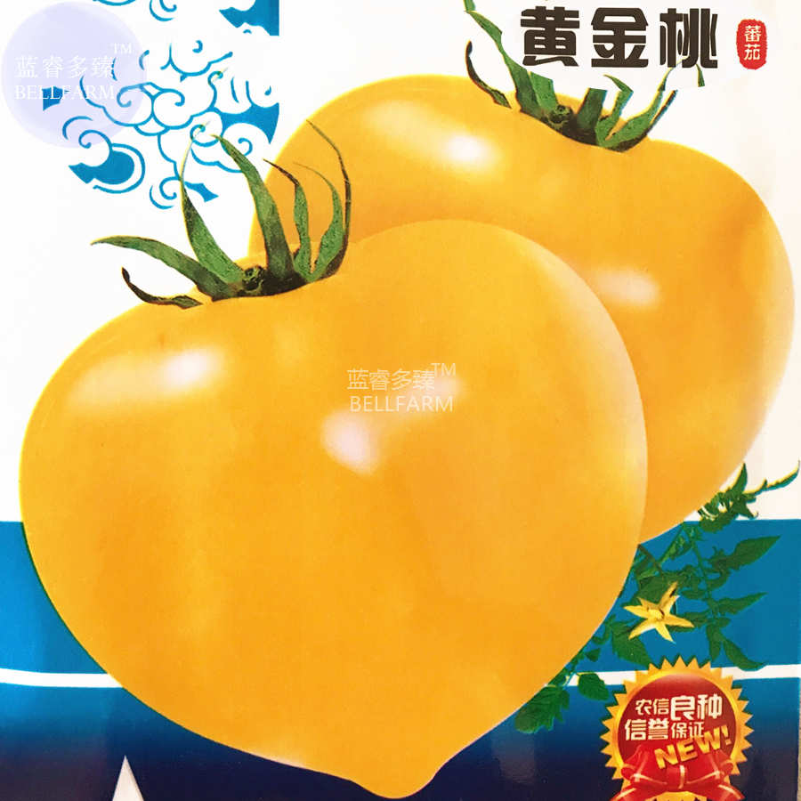 Tomato Yellow Golden Peach Sweet Fruit Seeds 300 Seeds Pack Big Tasty Juicy Vege