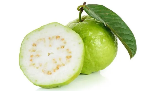Organic White Guava Tropic White Guava Psidium Guajava - 30 Seeds 2023 Garden - £11.35 GBP