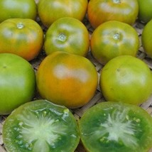 Lime Green Salad Tomato Seeds Organic US Fast Shipping - $37.14 MXN