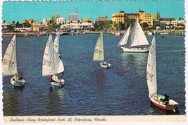 Florida Postcard St Petersburg Sailboats Along Waterfront Park - £2.31 GBP