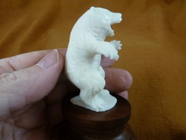 (tb-bear-22) white Polar Bear cub Tagua NUT palm figurine Bali carving bears - £40.44 GBP