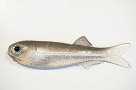 Soft Plastic Bay Anchovy Rainfish Lure Bait 4" Silver Flake 6 Pack - $7.99