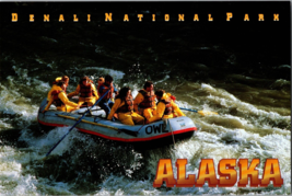 Vtg Postcard Denali National Park, Razorback Rapids, Nenana River, Alaska - £5.22 GBP