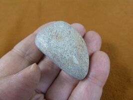 DF485-22 Fossil REAL DINOSAUR Bone pebble Atlasaurus Jurassic Dino dinos... - $8.99