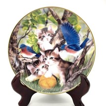 Birds And Cats “Spinning A Yarn” By Sprovach Limited Edition No. FS341 Franklin - £7.75 GBP