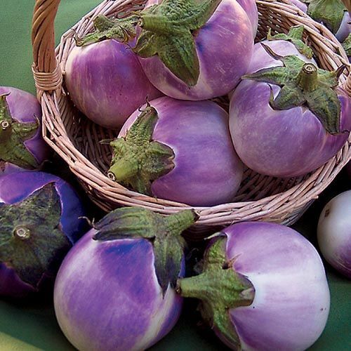 Round Mauve Eggplant Seeds 50+ Solanum Melongena  - $4.47