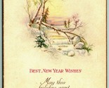 Best New Year Wishes Poem Winter Brook Scene 1927 DB Postcard H4 - $2.92