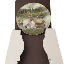 Collectible Plate: The Pintail - $30.87