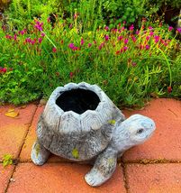 13inch Turtle Pot - £22.75 GBP