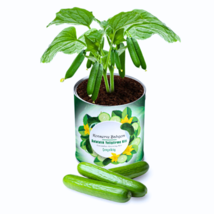 Cucumber Canned Seedling Garden Growing Kit  - £28.60 GBP