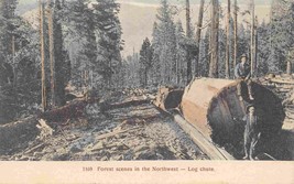 Log Chute Logging Pacific Northwest Region 1910c postcard - $8.86