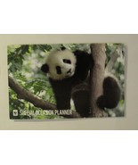 Calendar Special Occasion Planner 12 Month, 2024 (8 1/4 x 5 1/4) World W... - $8.08 CAD