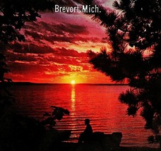 Brevort Michigan MI Sunset Throught the Pines Vacationland Vtg Chrome Postcard  - £3.12 GBP