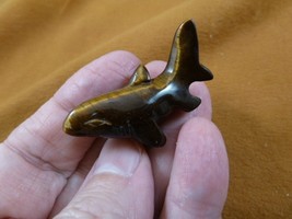 (Y-SHA-568) little brown Tiger&#39;s eye SHARK FIGURINE gemstone stone love sharks - £15.03 GBP