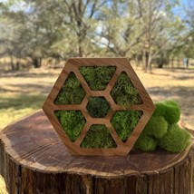 Unique Wooden Hexagon Wall Decor with Moss – Nature-Inspired Art - Custo... - $95.00