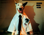 Working Class Dog [Record] - £24.04 GBP