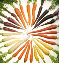 USA Rainbow Carrot Mix White Red Yellow Purple Orange Daucus Carrota 500 Seeds - £8.78 GBP