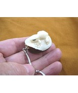 (TNE-FROG-219) FROG amphibian KEYCHAIN key TAGUA NUT Figurine carving lo... - £12.77 GBP