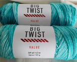 Big Twist Value lot of 2 Aqua Ombre Dye Lot 450373 - £7.92 GBP