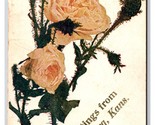 Generic Floral Greetings From Lindsborg Kansas KS DB Postcard H29 - £4.49 GBP