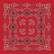 Carolina Creative Bandanna (Red) Texas Paisley 27&quot; x 27&quot; Hav-A-Hank - $167.76 MXN