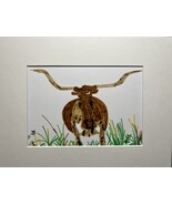 LONGHORN - €17,17 EUR
