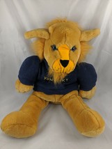 Goffa Kentucky Wildcats Plush 18 Inch Knit Sweater Stuffed Animal toy - £17.08 GBP