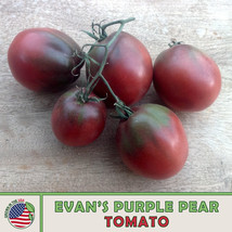AD 10 Evan&#39;S Purple Pear Tomato Seeds Heirloom Non Gmo Home Garden - $13.26