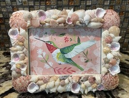 Handmade Seashell Picture Frame for 4&quot;x6&quot; Photo Shells collected along FL shores - $19.75