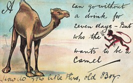 Camel Can Go Without Drink For 7 DAYS-DEVIL-WHO Wants To Be CAMEL~1906 Postcard - £9.25 GBP