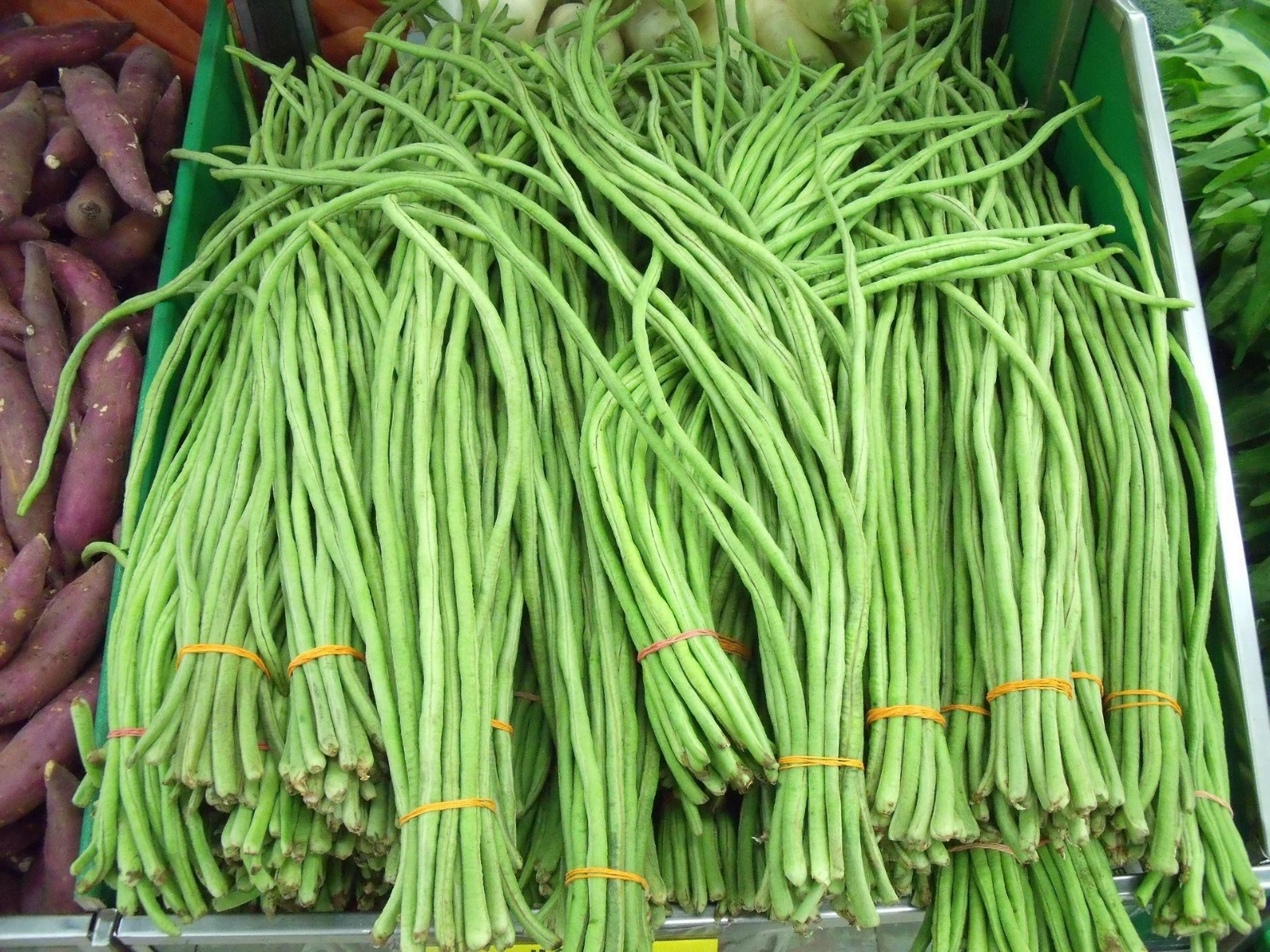 120 Dark Green Yard Long Bean Seeds ---- Heirloom - Organic - Heirloom -... - $14.94