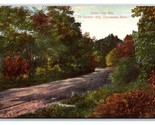 Road to Quaker Mill Tecumseh Michigan MI 1909 DB Postcard R23 - $4.90