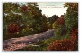 Road to Quaker Mill Tecumseh Michigan MI 1909 DB Postcard R23 - £3.90 GBP