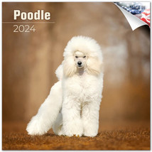POODLE Wall Calendar 2024 Animal DOG PET Lover Gift - £19.45 GBP