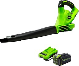 Leaf Blower, 4Point 0Ah Battery, 150 Mph, 135 Cfm, Greenworks 40V, With ... - $173.95